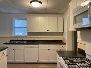 1131 E Bowman St in South Bend, IN - Building Photo - Building Photo