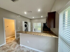 20421 Needletree Dr in Tampa, FL - Building Photo - Building Photo