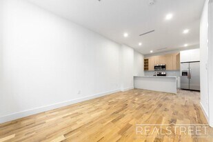 Brand New 5 bed 5 Bath Duplex with 2 Roof in Brooklyn, NY - Building Photo