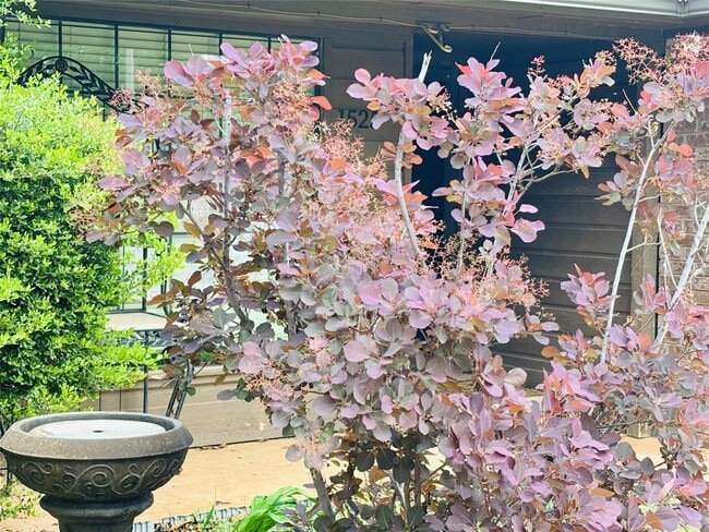 1525 Davinbrook Dr in Norman, OK - Building Photo - Building Photo