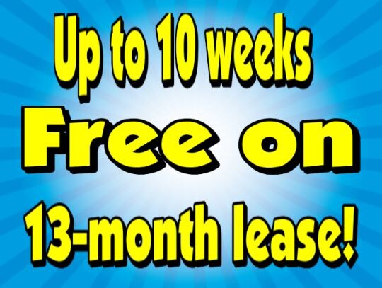 275 Pine Terrace Dr in Montgomery, TX - Building Photo - Building Photo