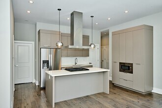 1752 W 18th Pl in Chicago, IL - Building Photo - Building Photo