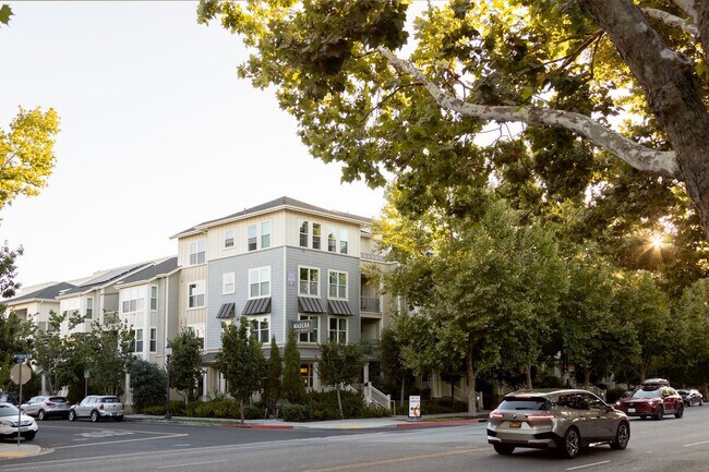 Madera in Mountain View, CA - Building Photo - Building Photo