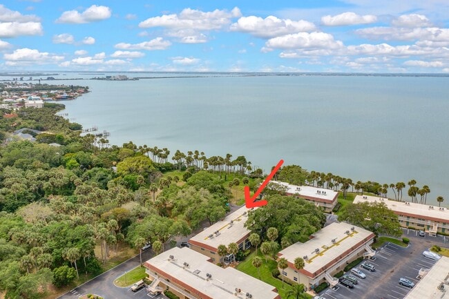 property at 261 Cape Shores Cir