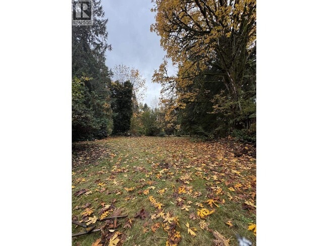 23979 Fern Crescent in Maple Ridge, BC - Building Photo - Building Photo