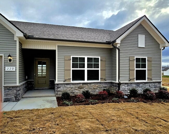 229 Republic St in Shelbyville, TN - Building Photo - Building Photo