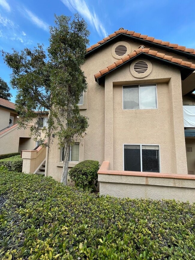 property at 11349 Avenida De Los Lobos