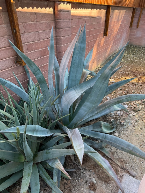 property at 5564 E Camden St