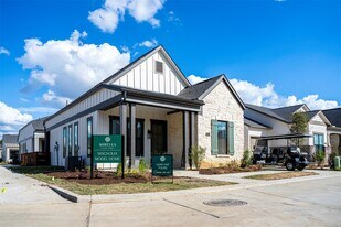 18110 Bluegrass Pk Ln in Cypress, TX - Building Photo