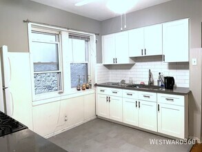 1019 N Paulina St in Chicago, IL - Building Photo - Building Photo