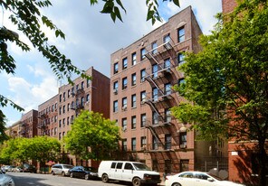 Cante Seco in Bronx, NY - Building Photo