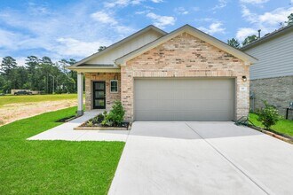 19 Courageous Side Way in Magnolia, TX - Building Photo - Building Photo