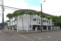 310 Olive Ave in Wahiawa, HI - Foto de edificio - Building Photo