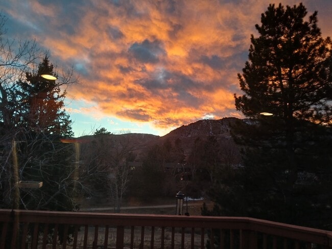 property at 686 Partridge Cir