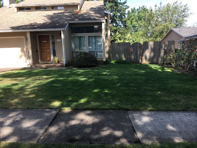 11805 SW Wilkens Ln in Beaverton, OR - Building Photo