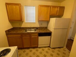4210 Rochester Rd in Royal Oak, MI - Building Photo - Building Photo