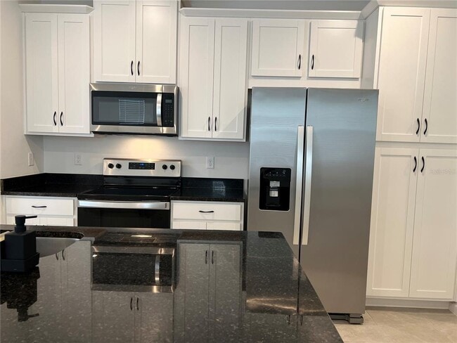 9055 Beach Tea Wy in Kissimmee, FL - Building Photo - Building Photo