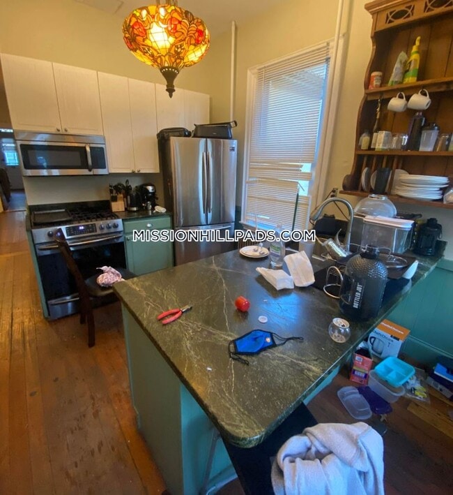 52 Alleghany St Rentals in Boston, MA