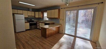 323 Cushetunk Dr in Cochecton, NY - Building Photo - Building Photo