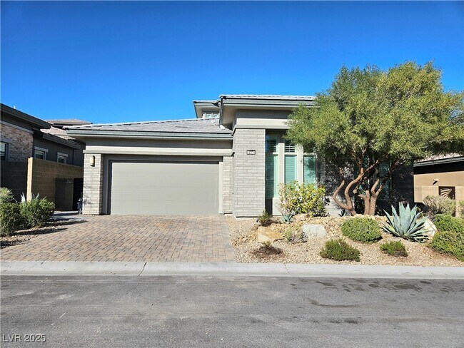 12374 Skyracer Dr in Las Vegas, NV - Building Photo - Building Photo