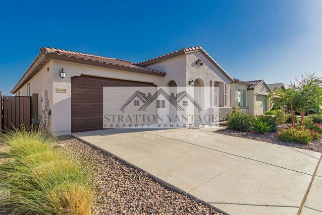 36595 W Mediterranean Way in Maricopa, AZ - Building Photo - Building Photo