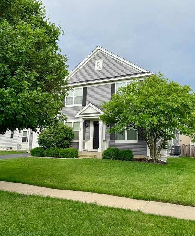 738 Spires Dr in Oswego, IL - Building Photo - Building Photo