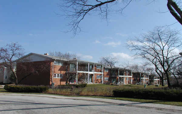 167-169 E Palatine Rd in Palatine, IL - Building Photo - Building Photo