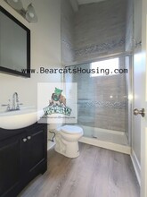 93 Chestnut St in Binghamton, NY - Building Photo - Building Photo