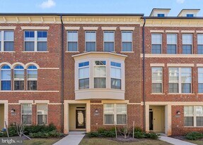 20661 Newcomb Ter in Ashburn, VA - Building Photo