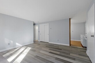 31 Marion Rd in Bedford, MA - Building Photo - Building Photo