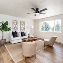 726 Paradise Ln in Colorado Springs, CO - Building Photo - Building Photo