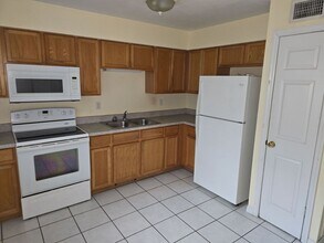 13542 Embassy Park Ct in Dade City, FL - Building Photo - Building Photo