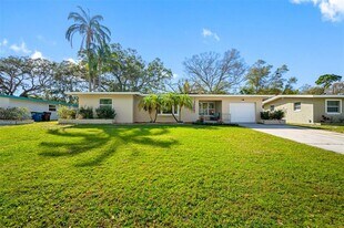 1411 Pine Brook Dr in Clearwater, FL - Building Photo