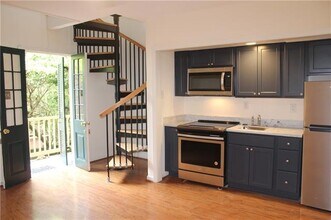 1119 Dauphine St in New Orleans, LA - Building Photo - Building Photo