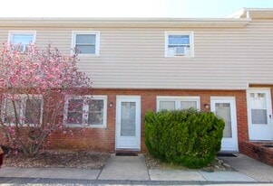 923 Park Ln in Harrisonburg, VA - Building Photo
