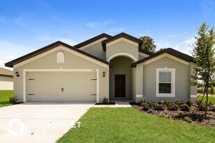 1698 Hideaway Flat St in Mascotte, FL - Building Photo