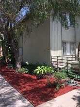 2900 Exposition Blvd in Santa Monica, CA - Foto de edificio - Building Photo