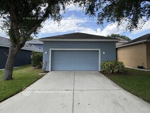 16009 Loneoak View Dr in Fish Hawk, FL - Building Photo - Building Photo