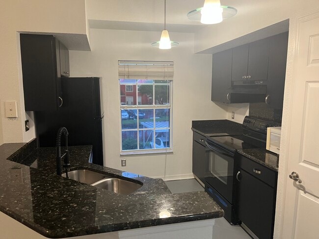 10552 Windsor Lake Ct in Tampa, FL - Building Photo - Building Photo