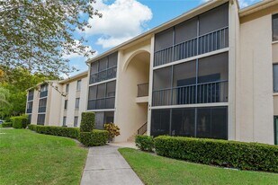 3161 Lake Pine Way S in Tarpon Springs, FL - Building Photo