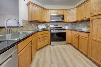 1675 Little Bear Creek Point in Colorado Springs, CO - Building Photo - Building Photo