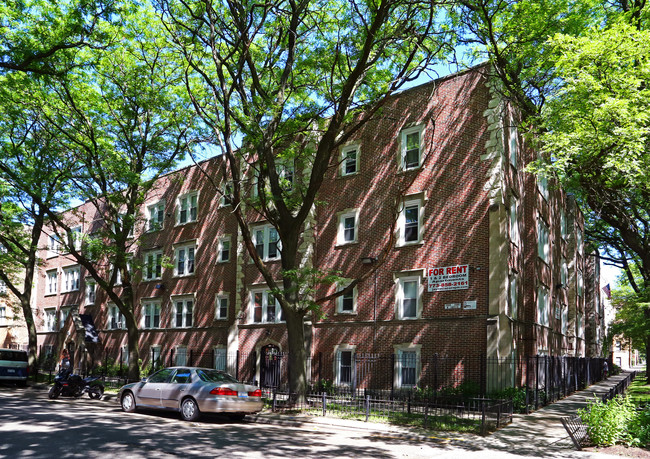 7340 N Damen Ave in Chicago, IL - Building Photo - Building Photo