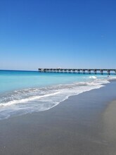 1206 Mainsail Cir in Jupiter, FL - Building Photo - Building Photo