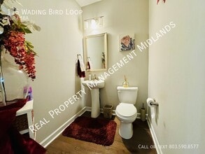 115 Wading Bird Loop in Blythewood, SC - Building Photo - Building Photo