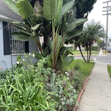 9022 Alcott St in Los Angeles, CA - Building Photo - Building Photo