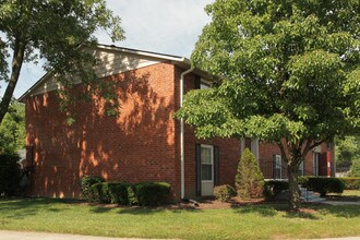 Mt. Vernon in Louisville, KY - Foto de edificio - Building Photo