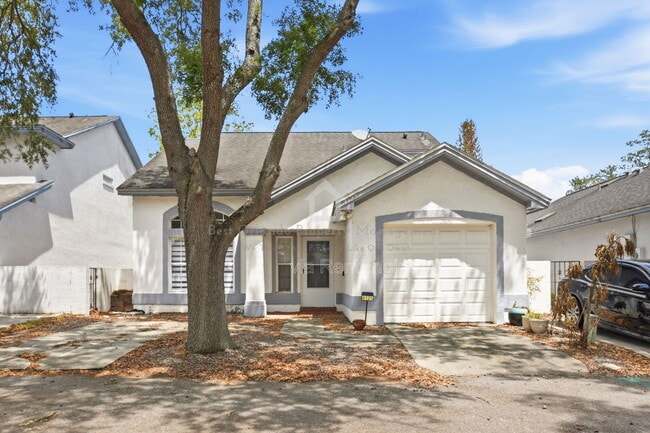 property at 4125 Guadalupe Ct
