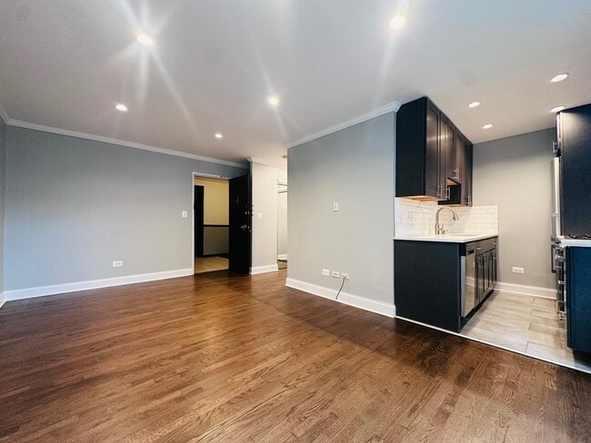 541 W Oakdale Ave in Chicago, IL - Building Photo - Building Photo