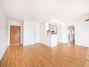 336 S. Alexandria Ave in Los Angeles, CA - Building Photo - Interior Photo