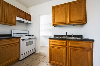 8155 S Ingleside in Chicago, IL - Building Photo - Building Photo